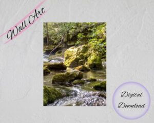 Serenity Creek Wall Art featuring a stream flowing gracefully through rugged rocks and lush moss.