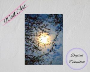 Moon Inspired Wall Art featuring a serene night sky where the moon casts a gentle glow over silhouetted trees.