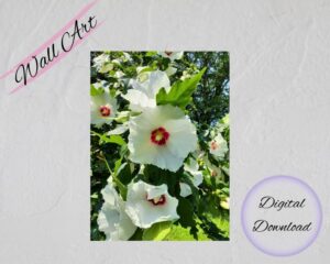 ROS Bloomers Wall Art featuring