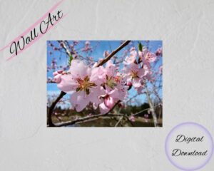 Branches and Blossoms Wall Art featuring a beautiful combination of branches and blossoms from a fruit tree.