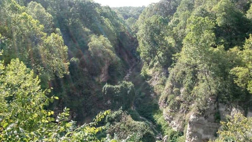 The canyon view from above the natural bridge at Missouri's Little Grand Canyon.